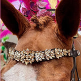 7 idées de looks avec un frontal en cristaux pour son cheval - equipassion-boutique