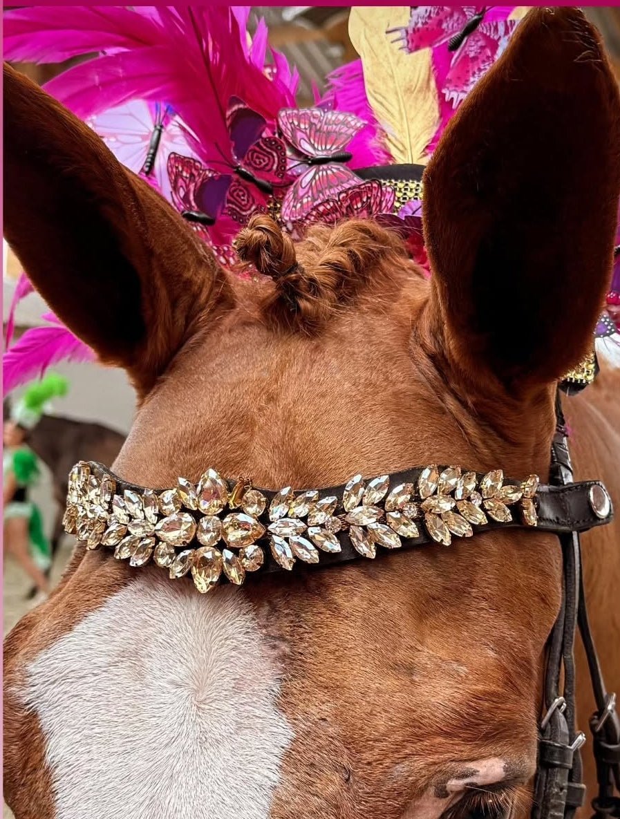 7 idées de looks avec un frontal en cristaux pour son cheval - equipassion-boutique