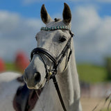 Comment bien régler un filet sur son cheval ? (Guide complet) - equipassion-boutique