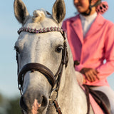 Comment choisir un bon frontal pour son cheval ? - equipassion-boutique