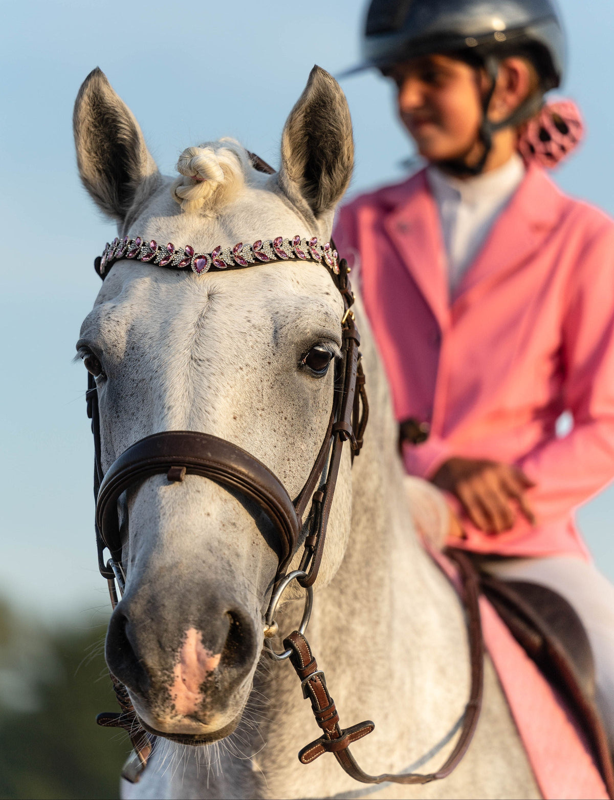 Comment choisir un bon frontal pour son cheval ? - equipassion-boutique