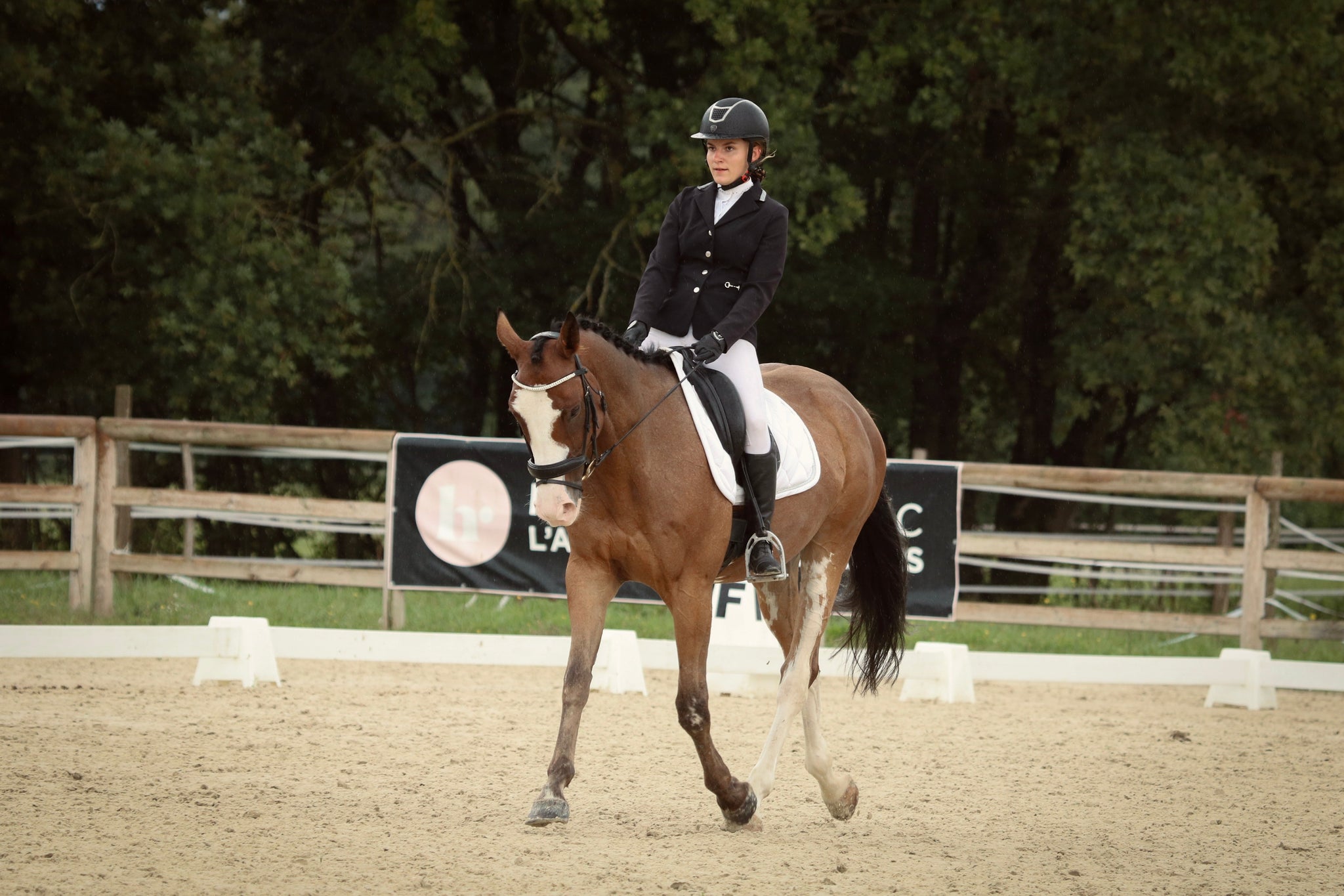 Comment savoir si mon filet n'est pas adapté à mon cheval ? - equipassion-boutique