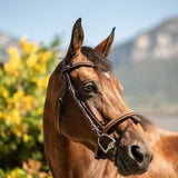 Quand faut-il remplacer son filet d’équitation ?