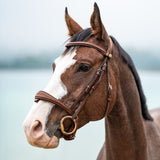 Filet anatomique : confort, précision et performance pour votre cheval - equipassion-boutique
