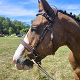 Filet anatomique ou filet classique : quelles différences pour votre cheval ? - equipassion-boutique