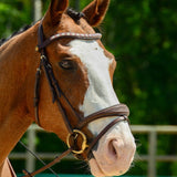 Filet avec ou sans muserolle : lequel choisir pour son cheval ? - equipassion-boutique