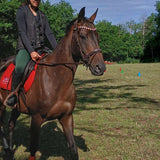 Filet : Entre confort du cheval et style faut-il vraiment choisir ? - equipassion-boutique