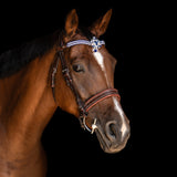 Nouveaux frontaux Equipassion : quel frontal à cristaux choisir pour son cheval ?