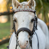 Frontal droit, en V ou incurvé : quelle forme choisir pour son cheval ? - equipassion-boutique