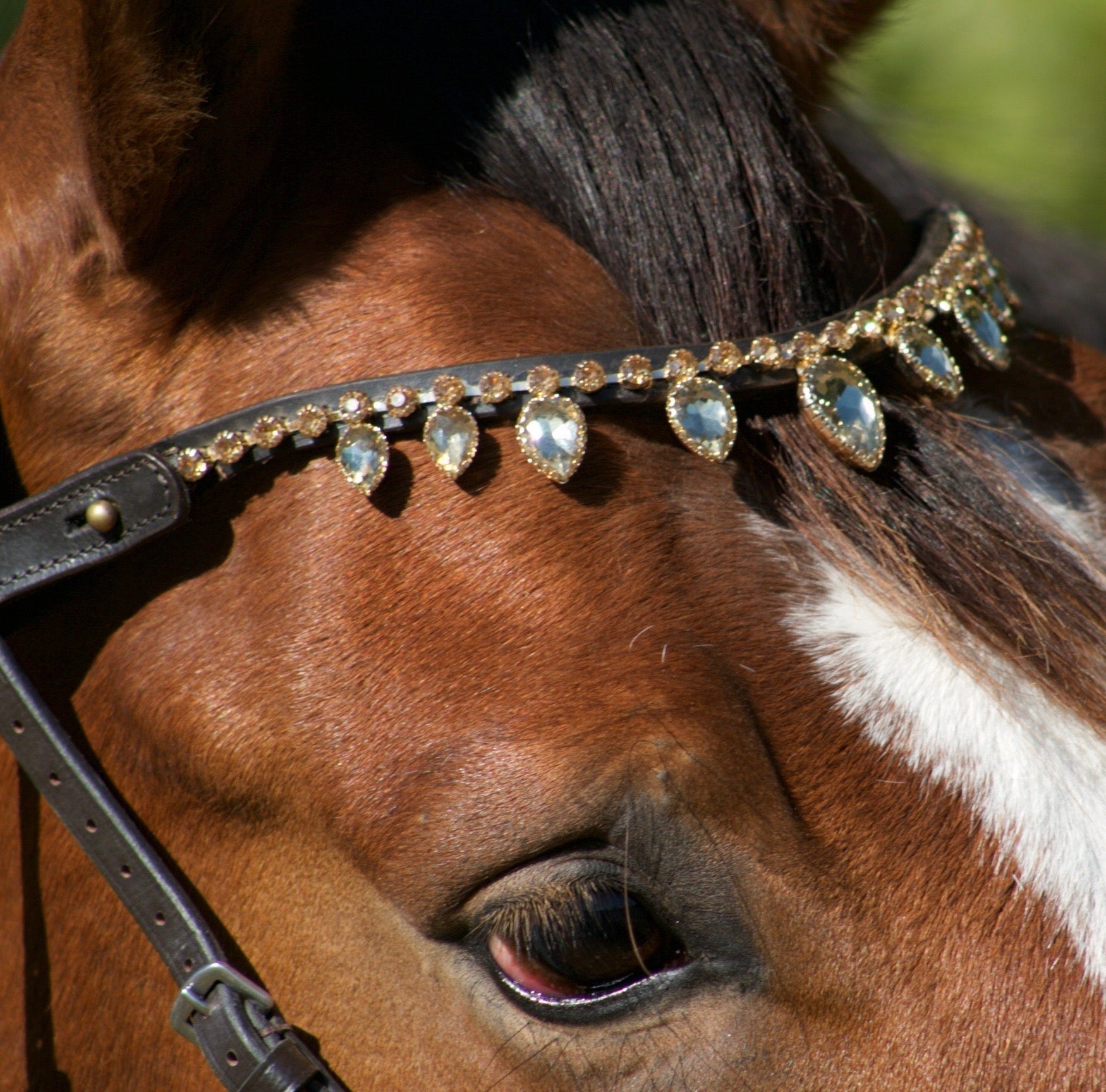Frontaux à strass Preciosa Equipassion : l’alliance parfaite entre élégance et originalité - equipassion-boutique