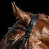 Comment savoir si un filet anatomique convient à la morphologie de son cheval ?