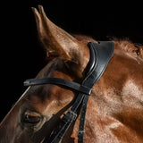 La Têtière Anatomique : Confort et Performance pour votre Cheval - equipassion-boutique