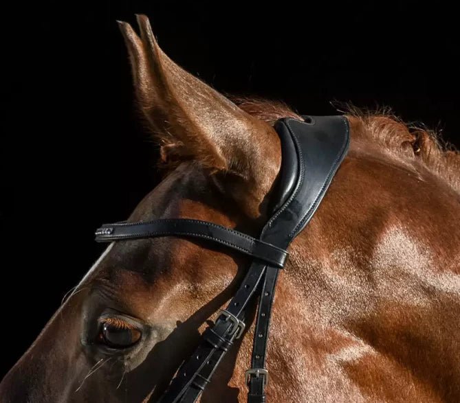 La Têtière Anatomique : Confort et Performance pour votre Cheval - equipassion-boutique