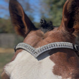 Les différentes parties d’un filet de cheval : guide complet pour comprendre la briderie - equipassion-boutique