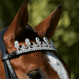 Les différents styles de frontaux d'équitation - Vous allez adorer ! - equipassion-boutique