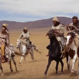 L'évolution du matériel d'équitation à travers le temps - equipassion-boutique