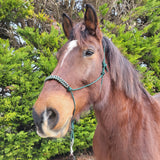 Pourquoi un licol éthologique est-il un choix idéal pour votre cheval ? - equipassion-boutique