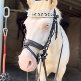 Quel frontal choisir selon la robe de son cheval ? - equipassion-boutique