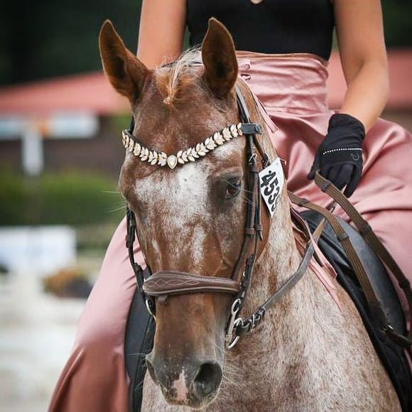 Quelle taille de filet choisir pour son cheval ? - equipassion-boutique