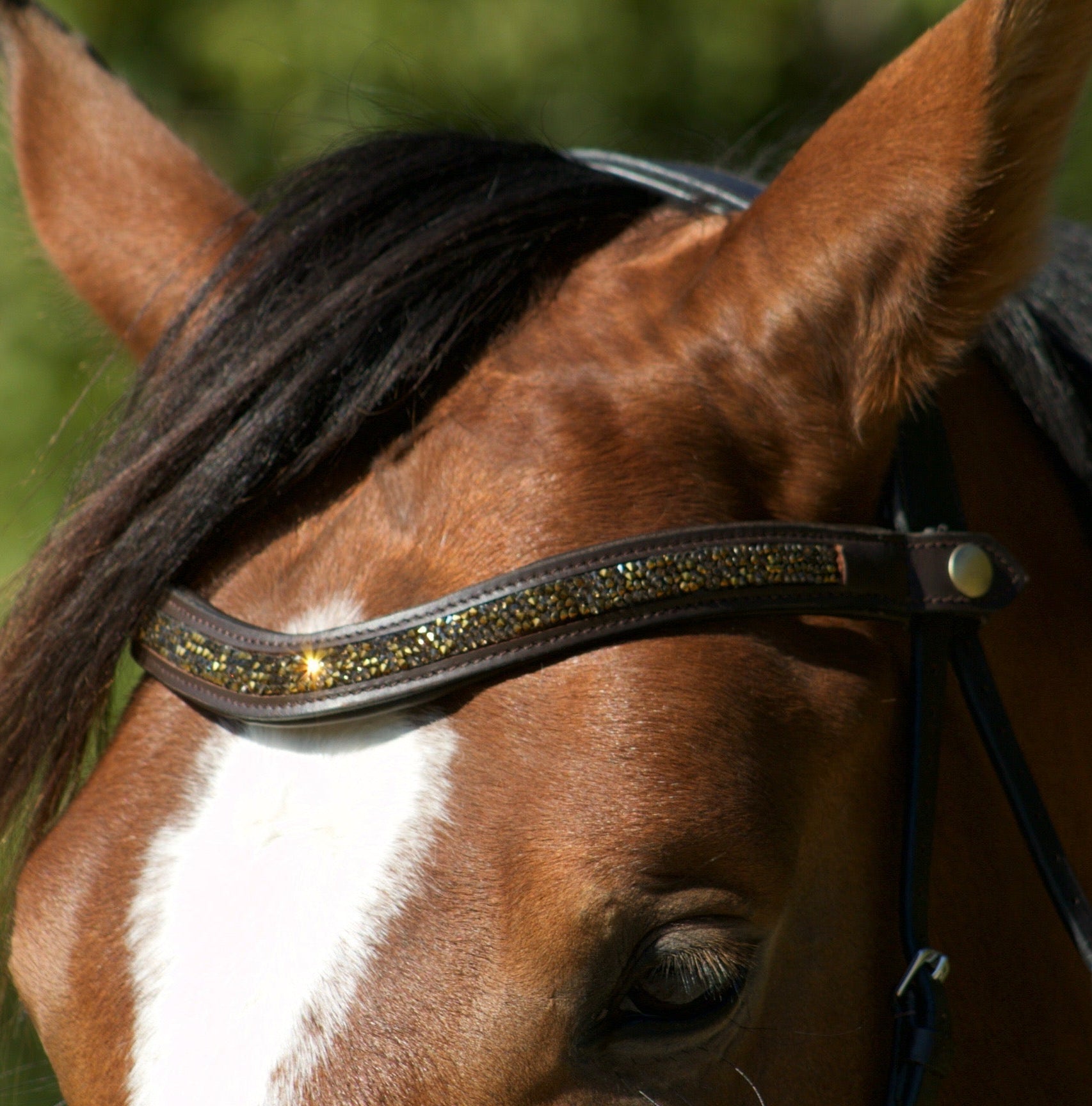 Frontal Brillanti II - Frontal cheval strass large - equipassion - boutique
