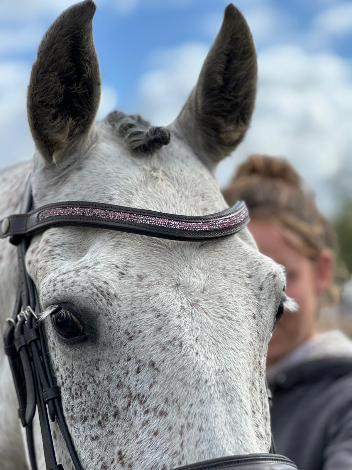 Frontal Brillanti I - Frontal cheval strass fin - equipassion - boutique