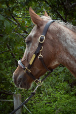 Charger l&#39;image dans la galerie, Licol cuir et strass marron
