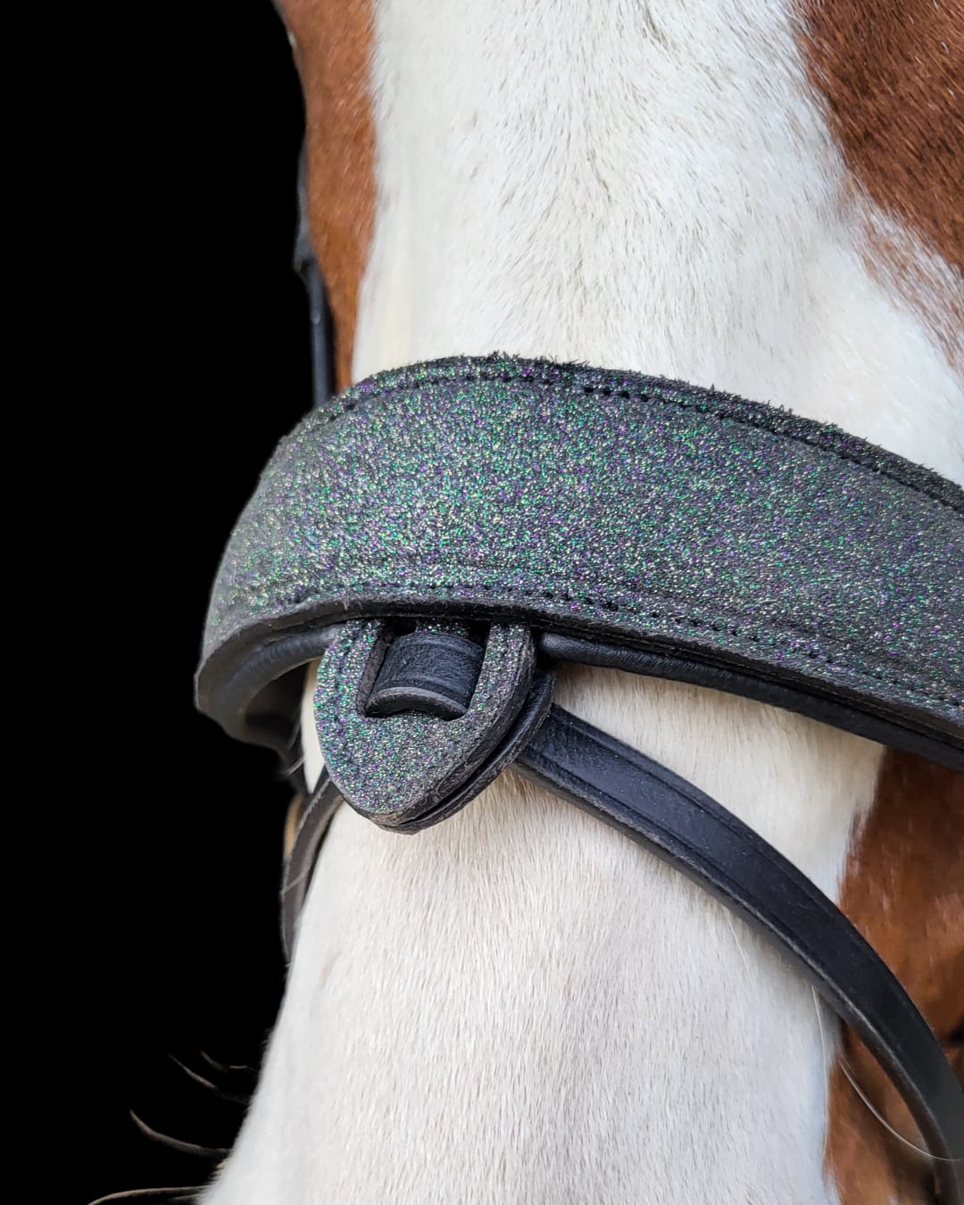 Filet anatomique en cuir Universe - brillant - equipassion - boutique