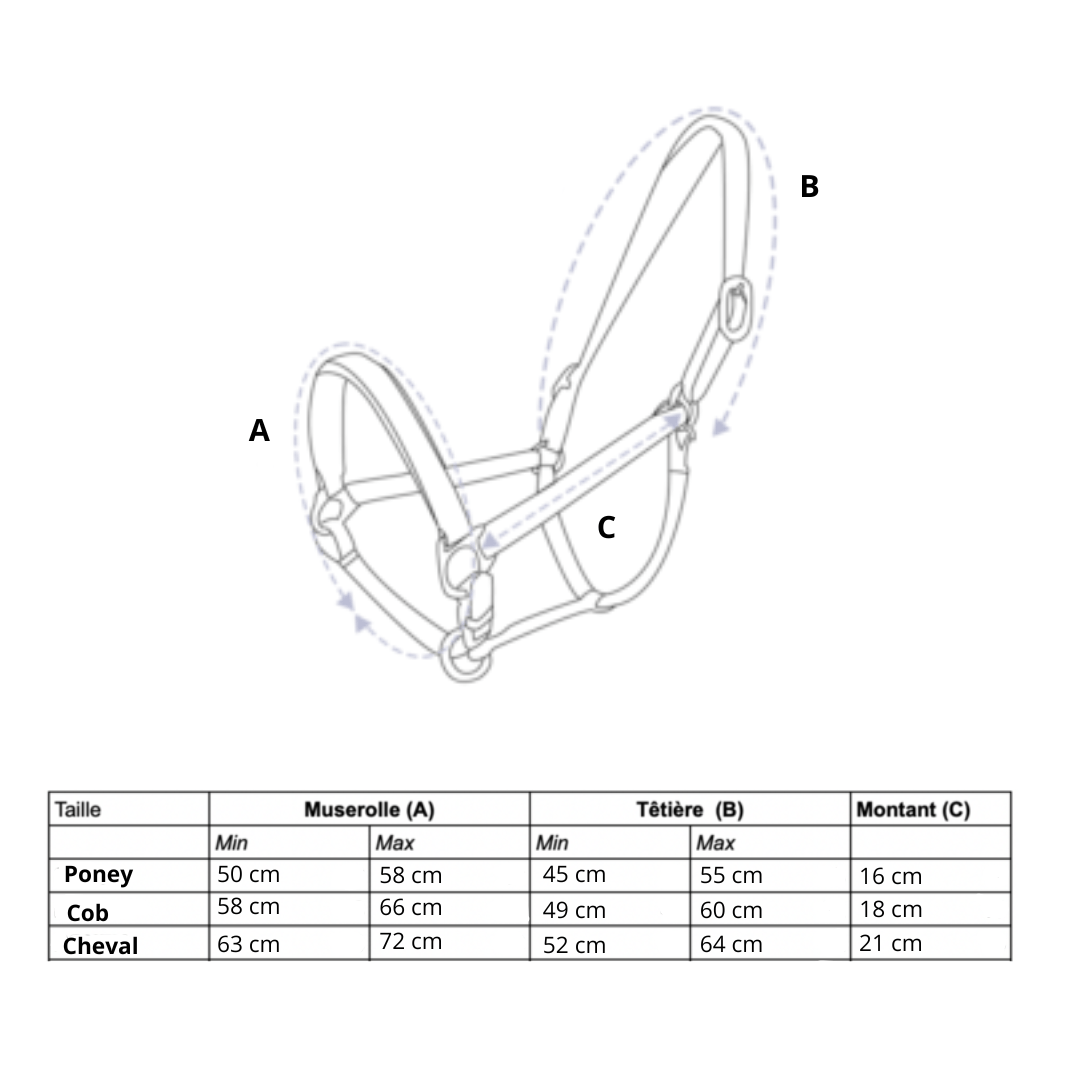Licol velours noir - equipassion - boutique