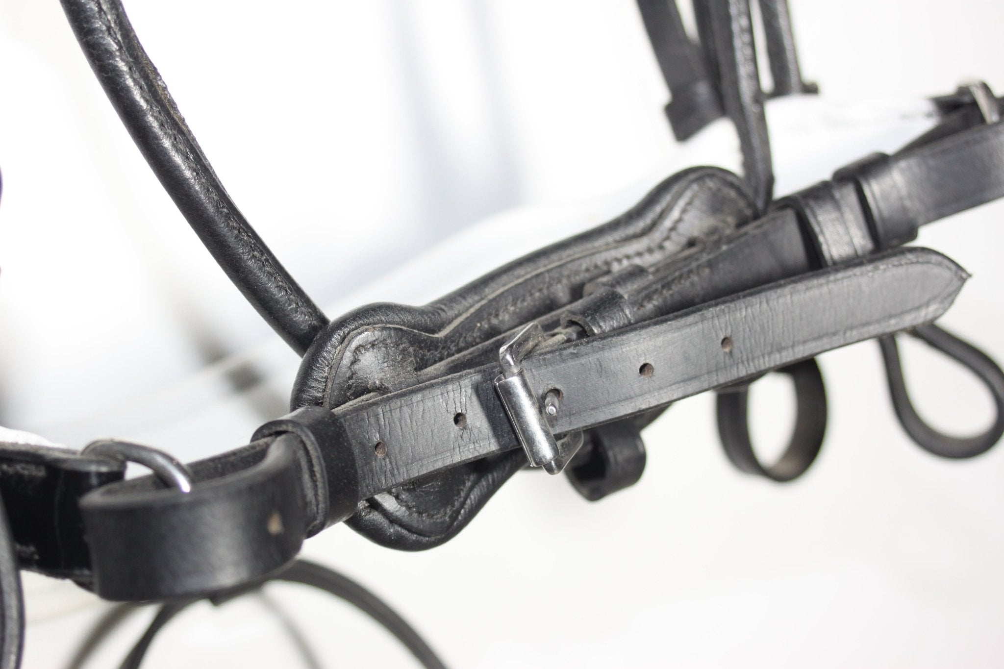 Bride anatomique en cuir prestige line - Noir - equipassion - boutique