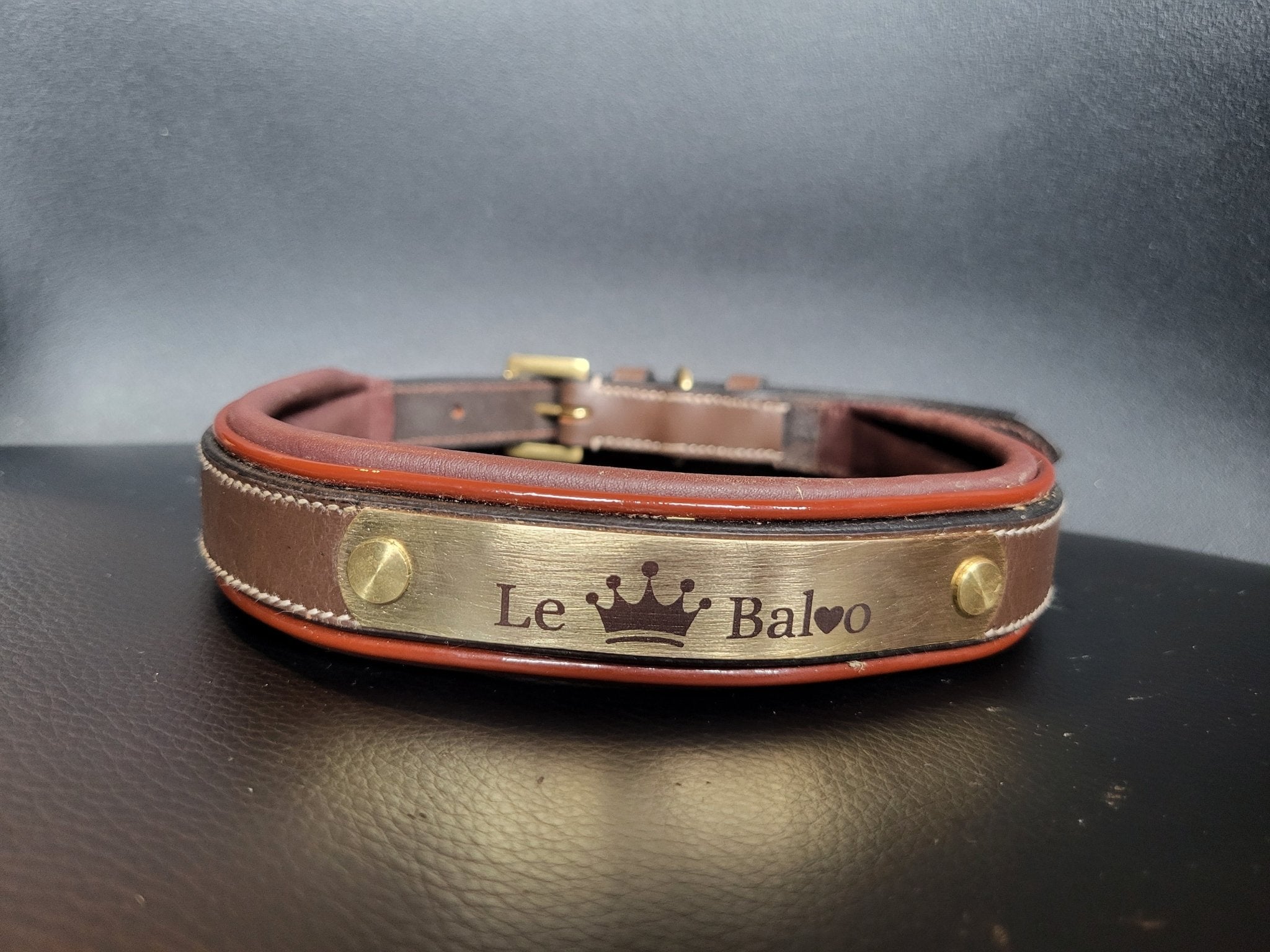 Collier pour chien cuir noir - equipassion - boutique