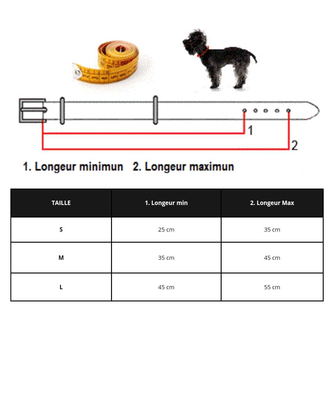 Collier pour chien cuir noir - equipassion - boutique