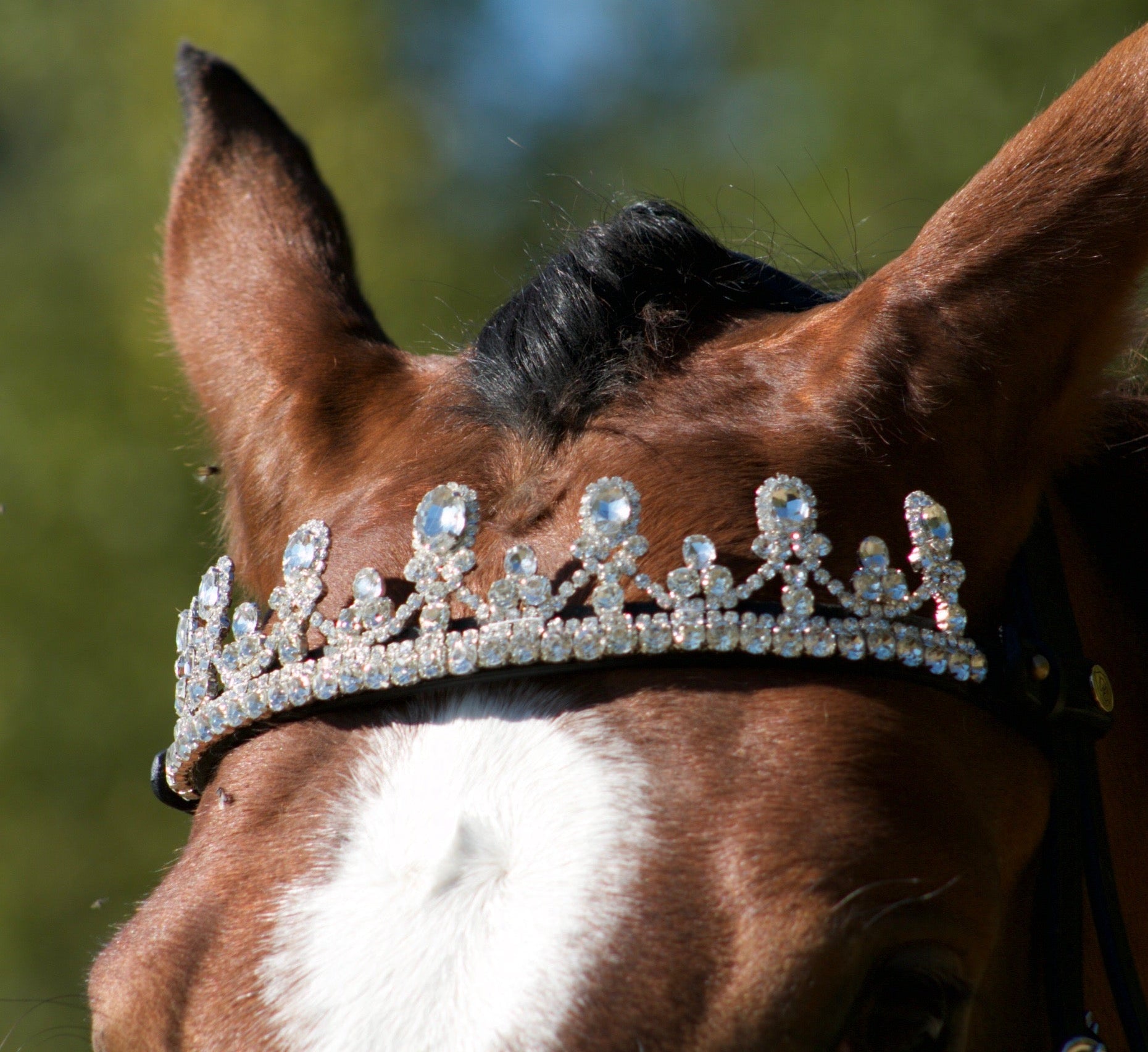 couronne pour cheval 