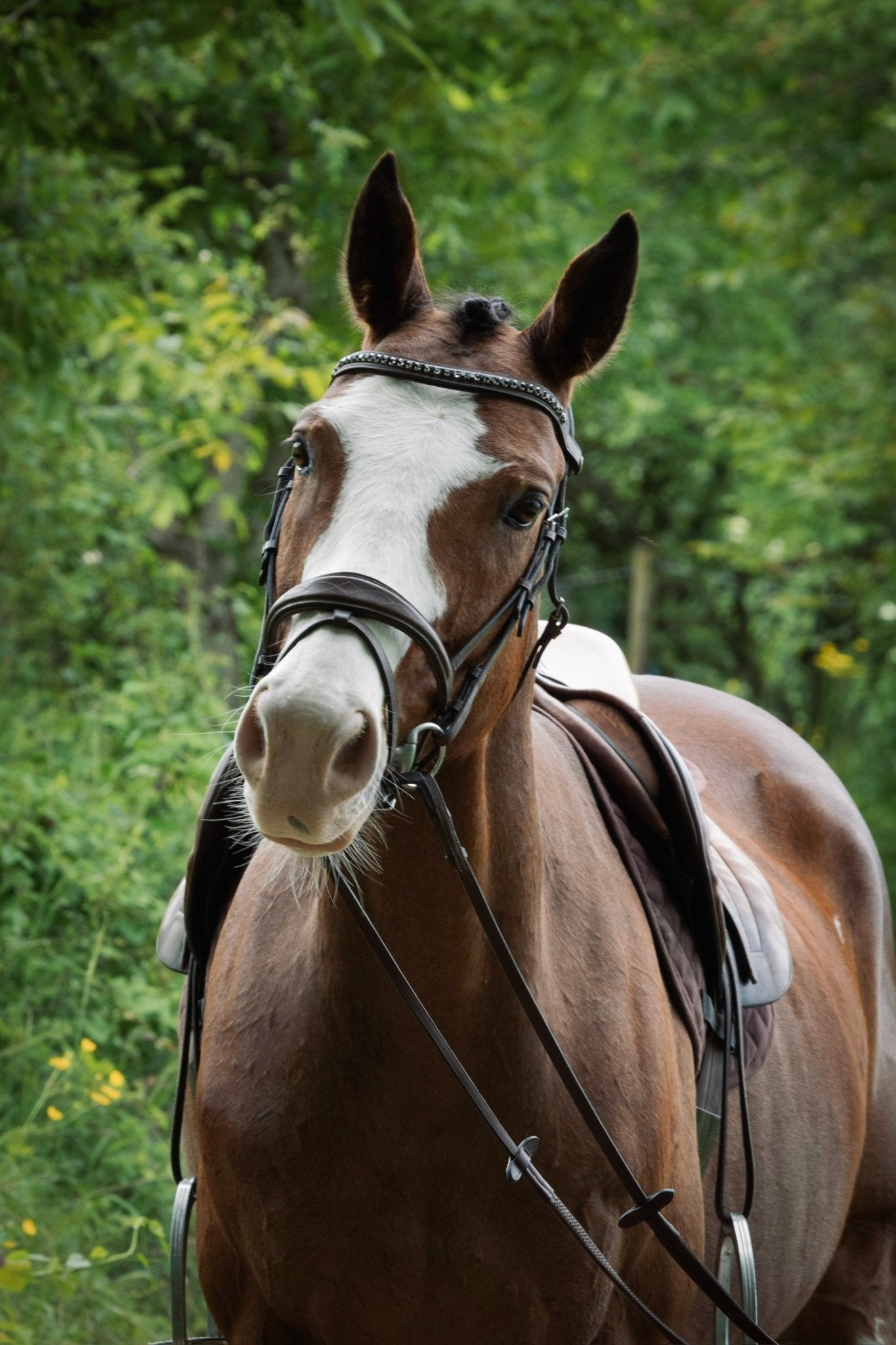 Frontal à clip incurvé en cristal personnalisable 1 couleur - equipassion - boutique