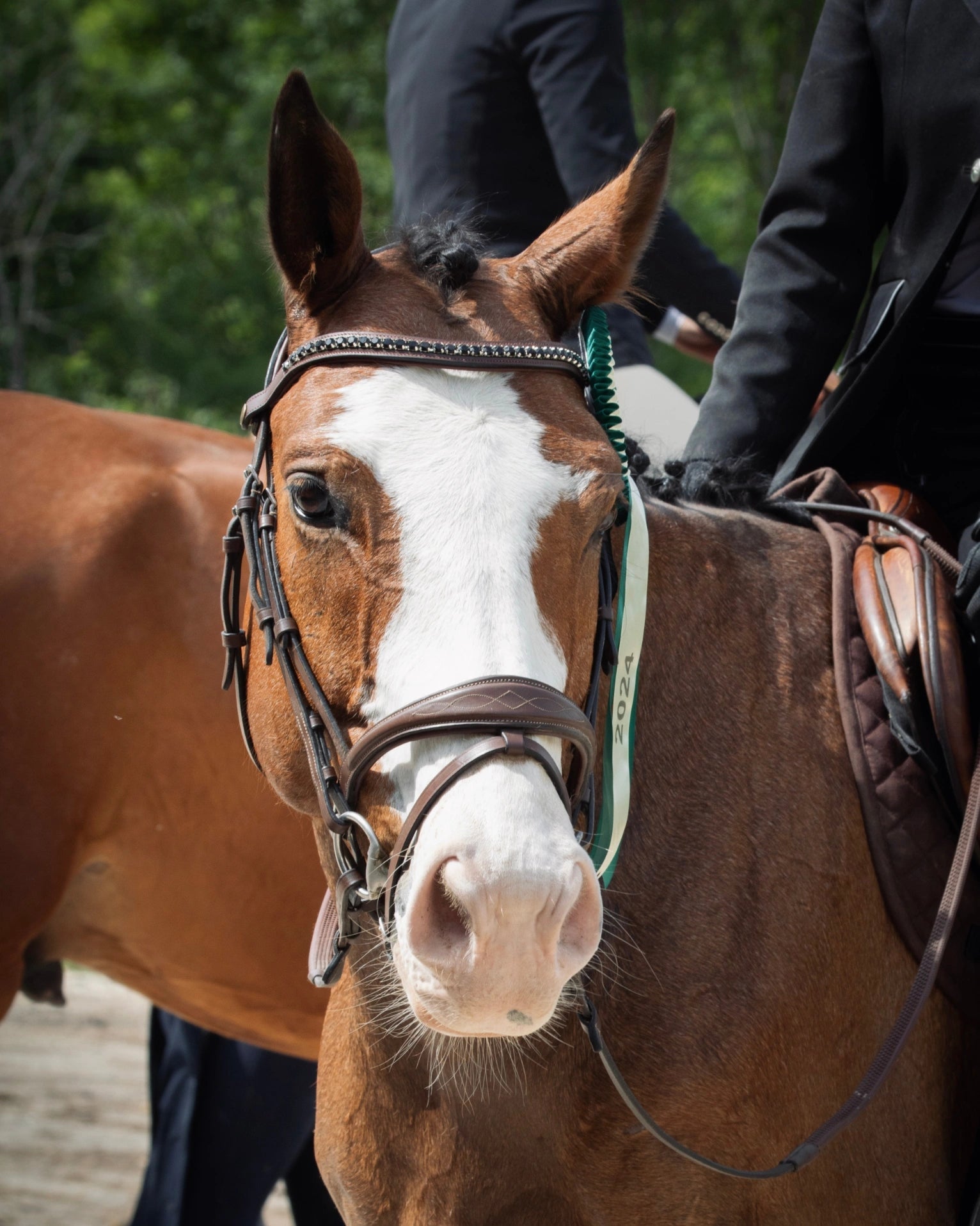 Frontal à clip incurvé en cristal personnalisable 1 couleur - equipassion - boutique