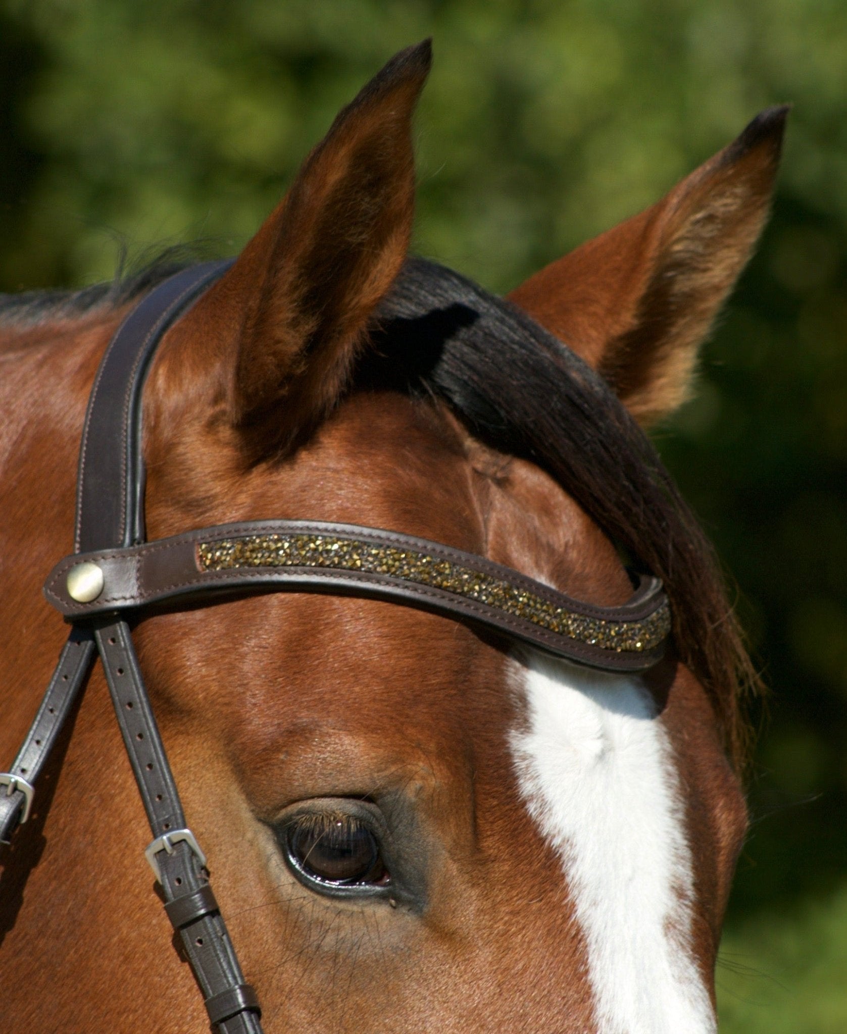 Frontal Brillanti II - Frontal cheval strass large - equipassion - boutique