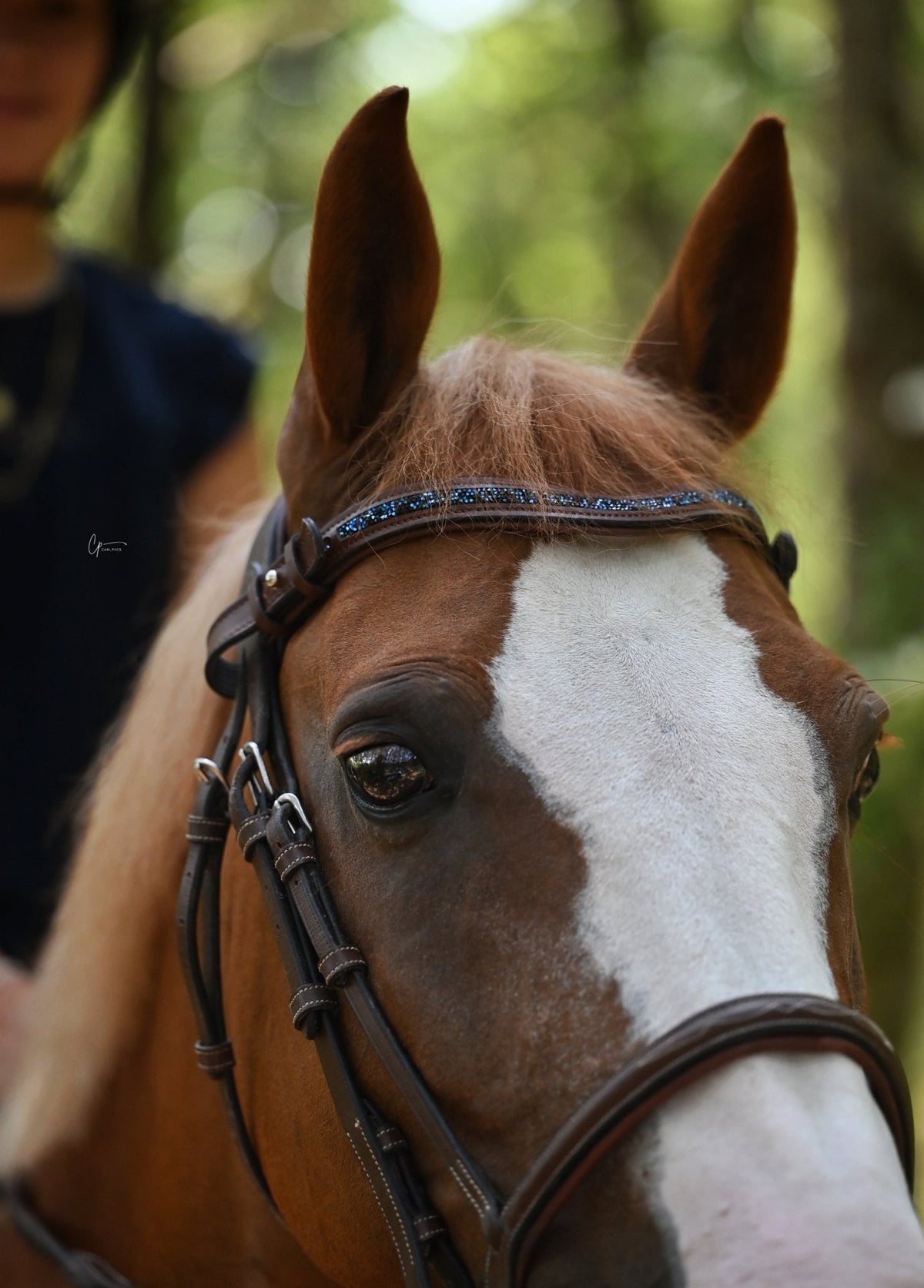 Frontal Brillanti I - Frontal cheval réglable strass fin - equipassion-boutique