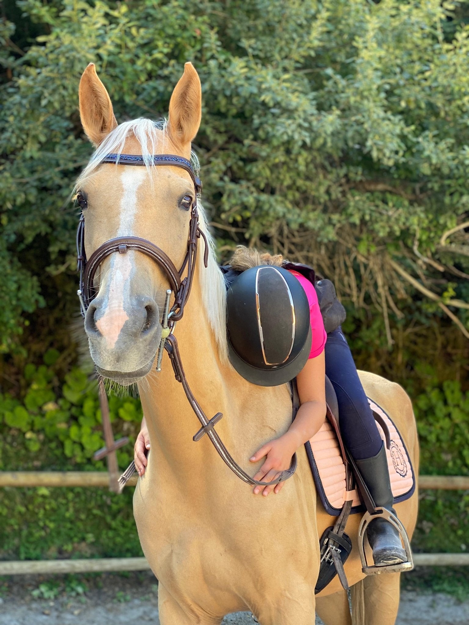 Frontal Brillanti I - Frontal cheval strass fin - equipassion - boutique