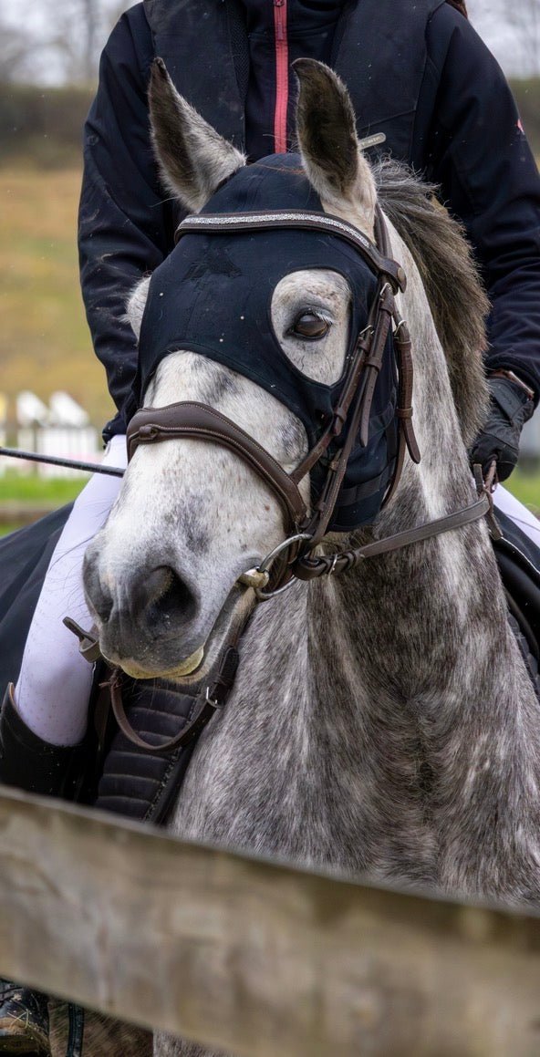 Frontal Brillanti I - Frontal cheval strass fin - equipassion - boutique