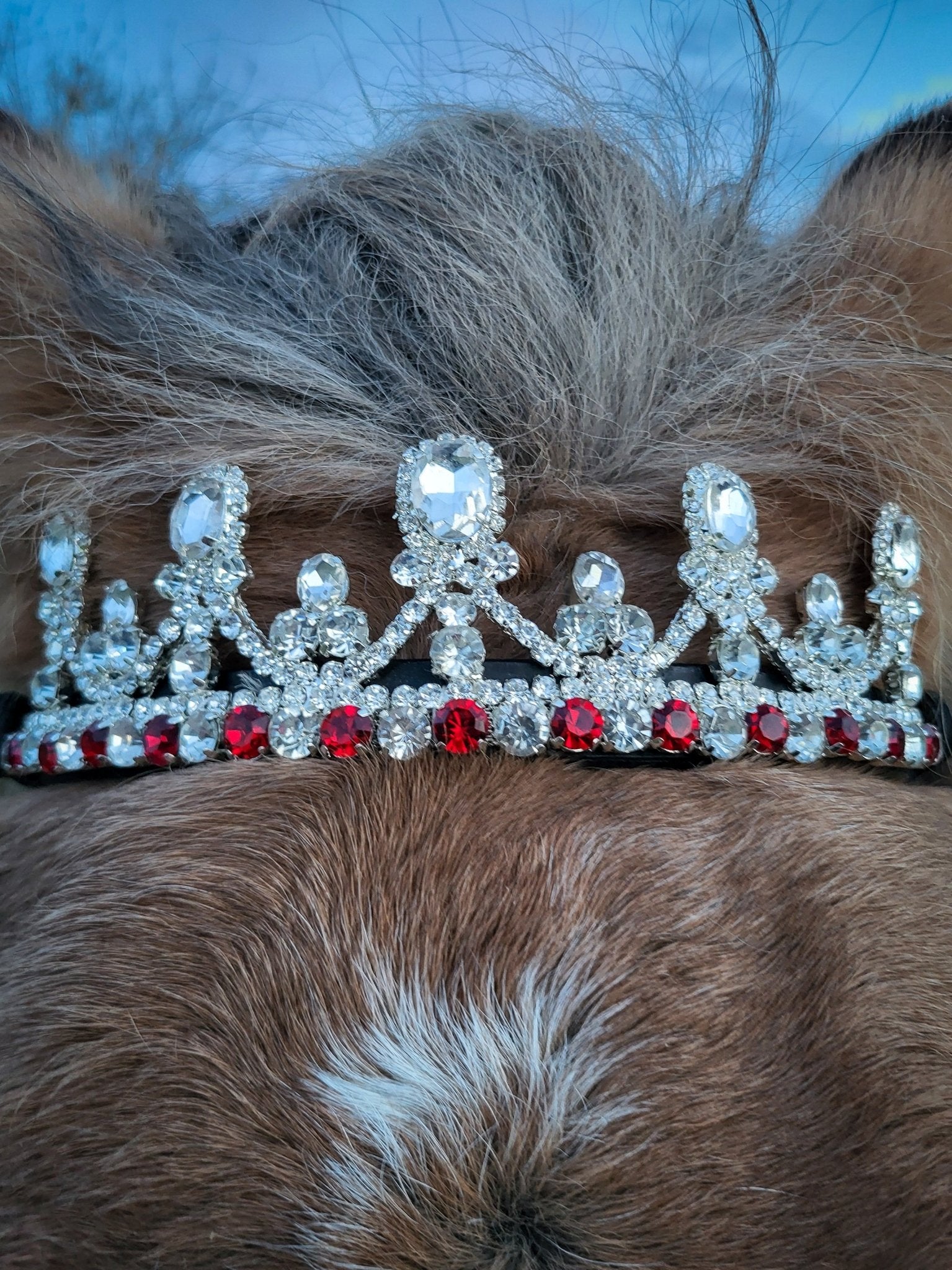 Frontal Couronne Édition Noël 🎅 - equipassion - boutique