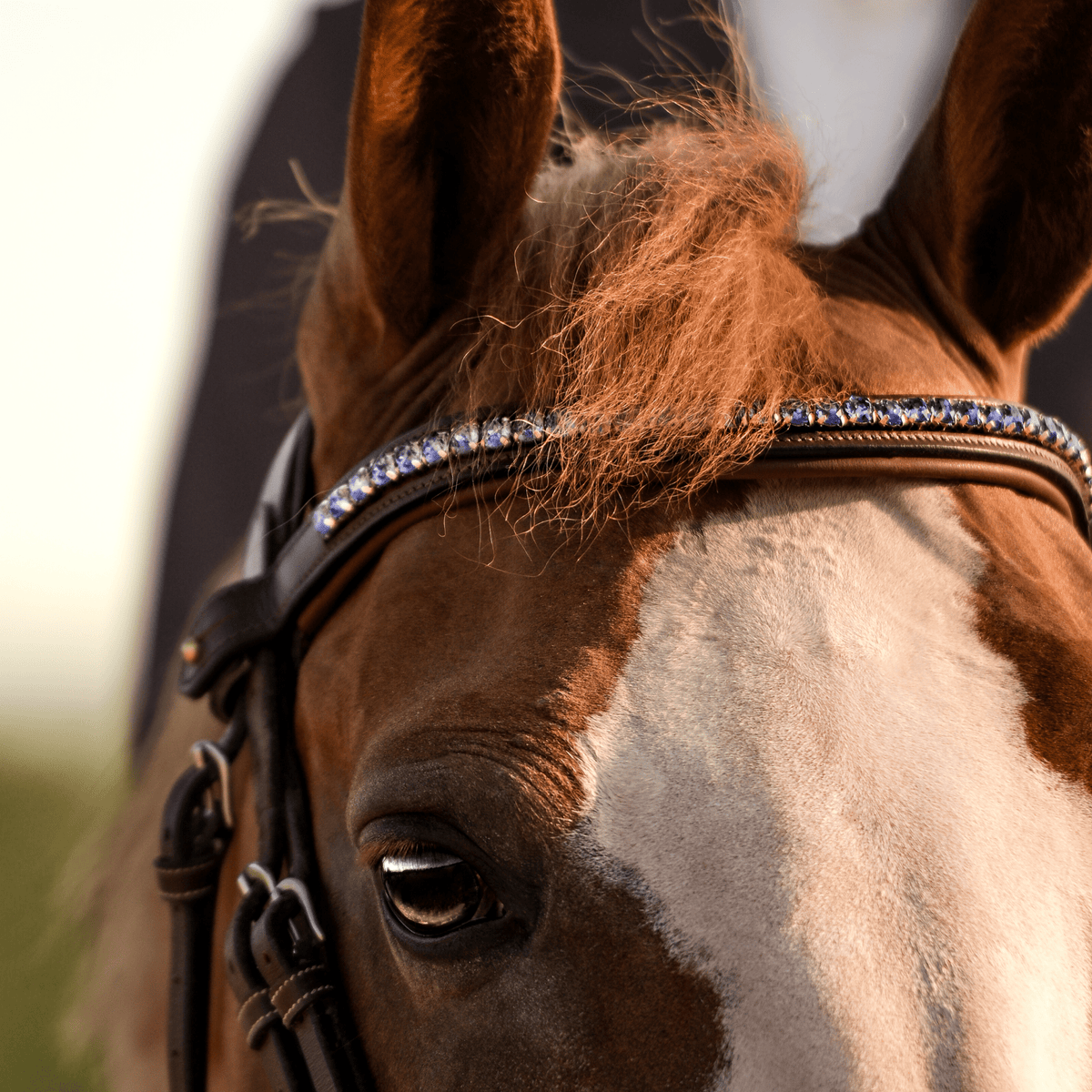Frontal clips incurvé en cristal 100% personnalisable - equipassion-boutique