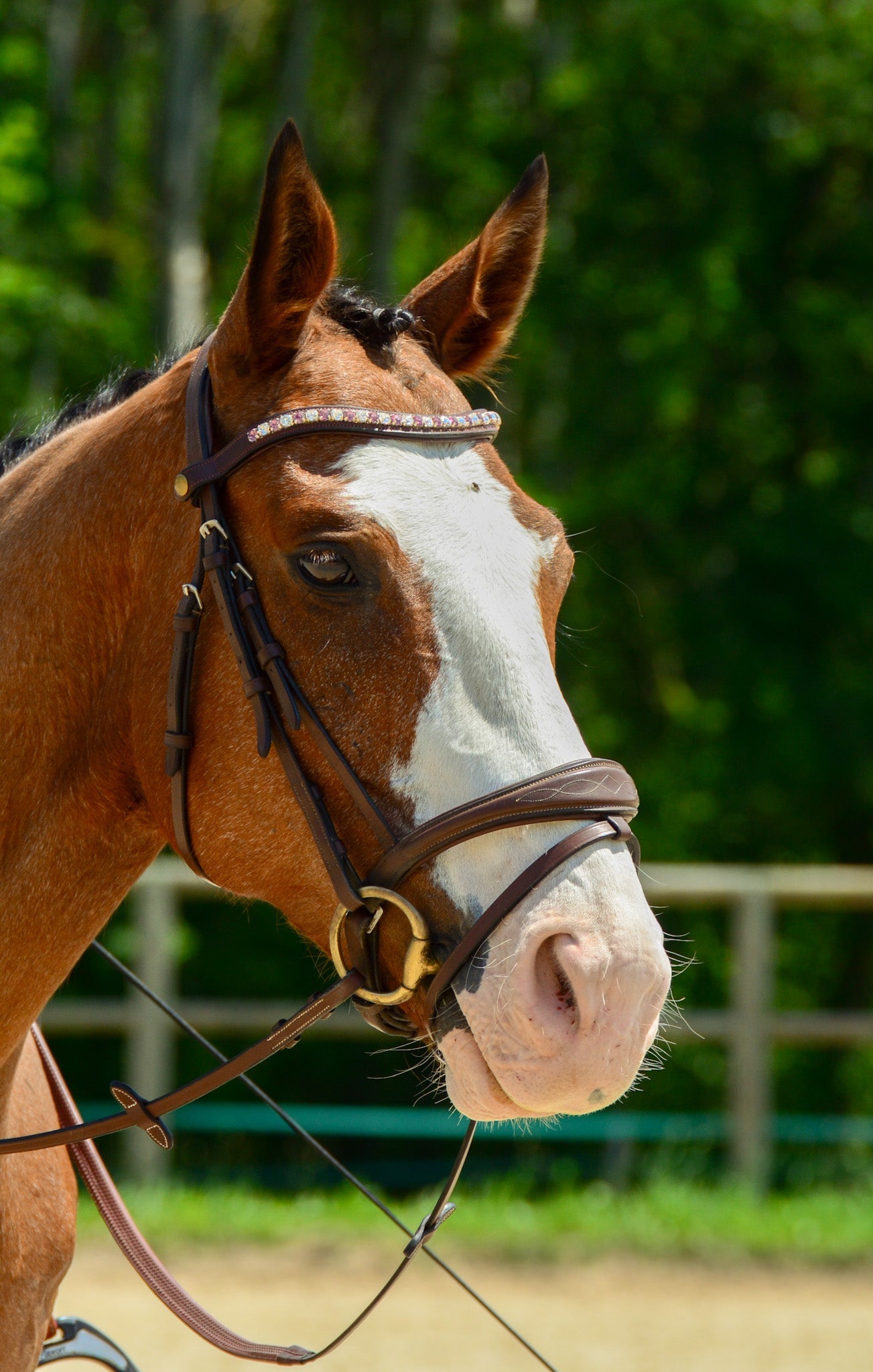 Frontal clips incurvé en cristal personnalisable plusieurs couleurs - equipassion - boutique