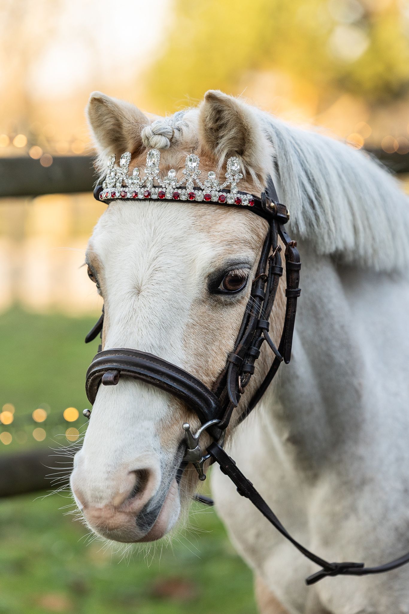 Frontal Couronne rouge et blanc - equipassion - boutique