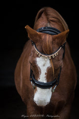 Frontal diamond rain - equipassion - boutique