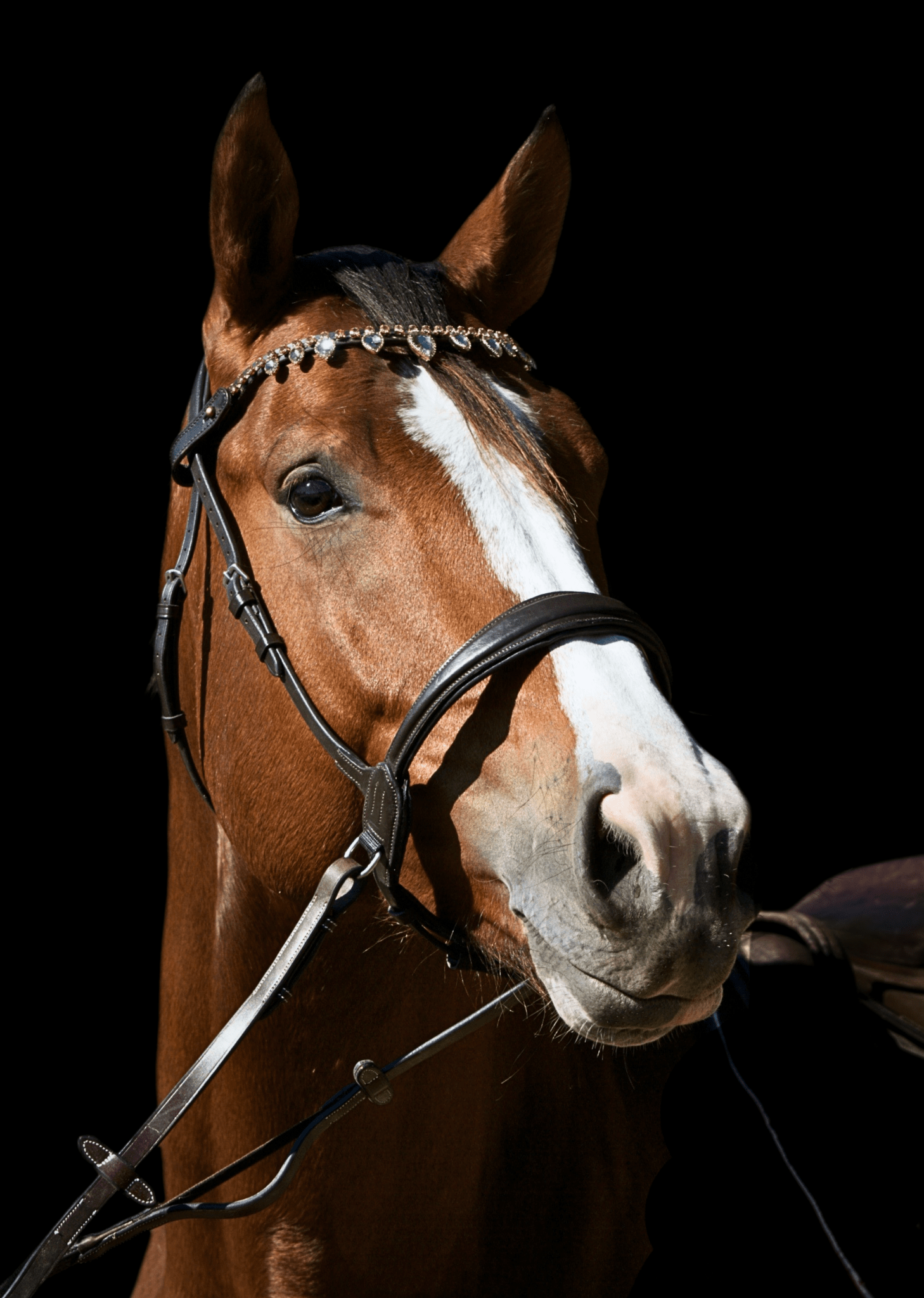 Frontal diamond rain - equipassion - boutique