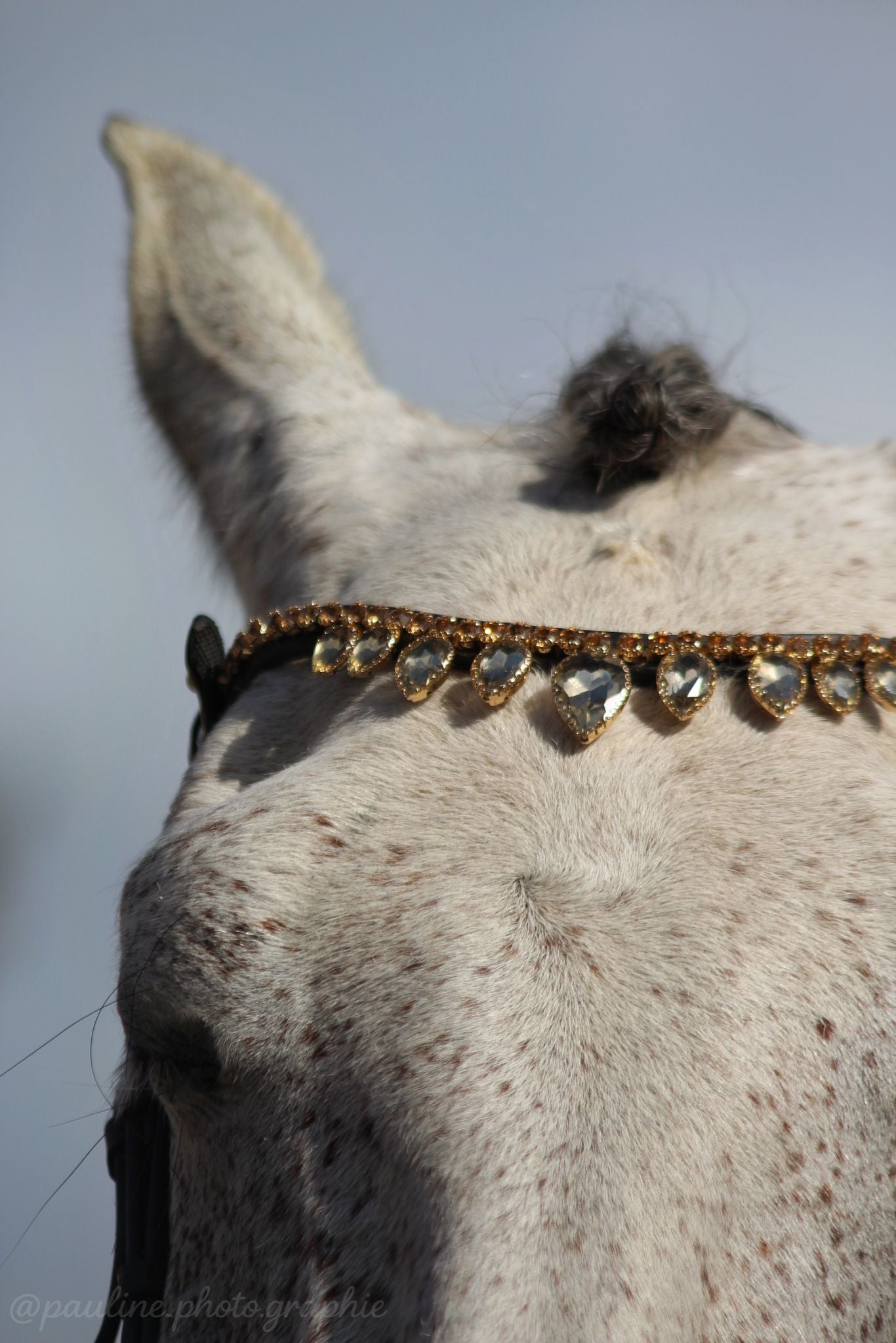 Frontal diamond rain - equipassion - boutique