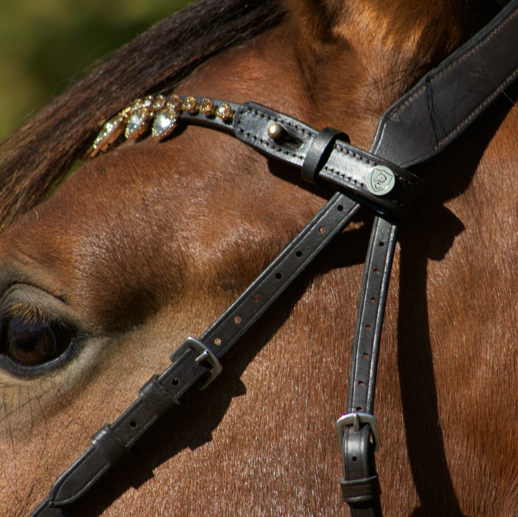 Frontal diamond rain - equipassion - boutique