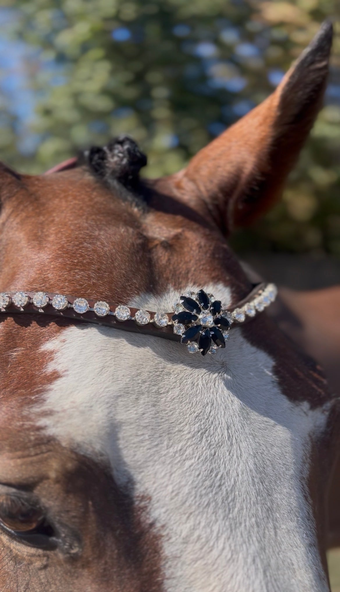 Frontal L'Edelweiss en cristaux Preciosa | Equipassion