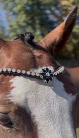 Frontal L'Edelweiss en cristaux Preciosa | Equipassion - equipassion-boutique