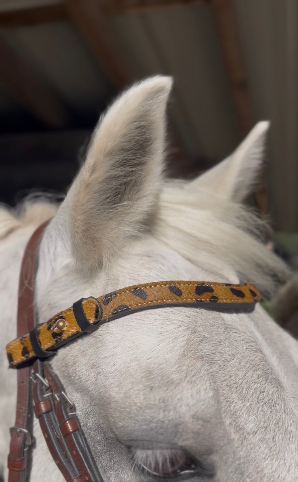 Frontal Léopard Poilu Cheval | Equipassion - equipassion-boutique