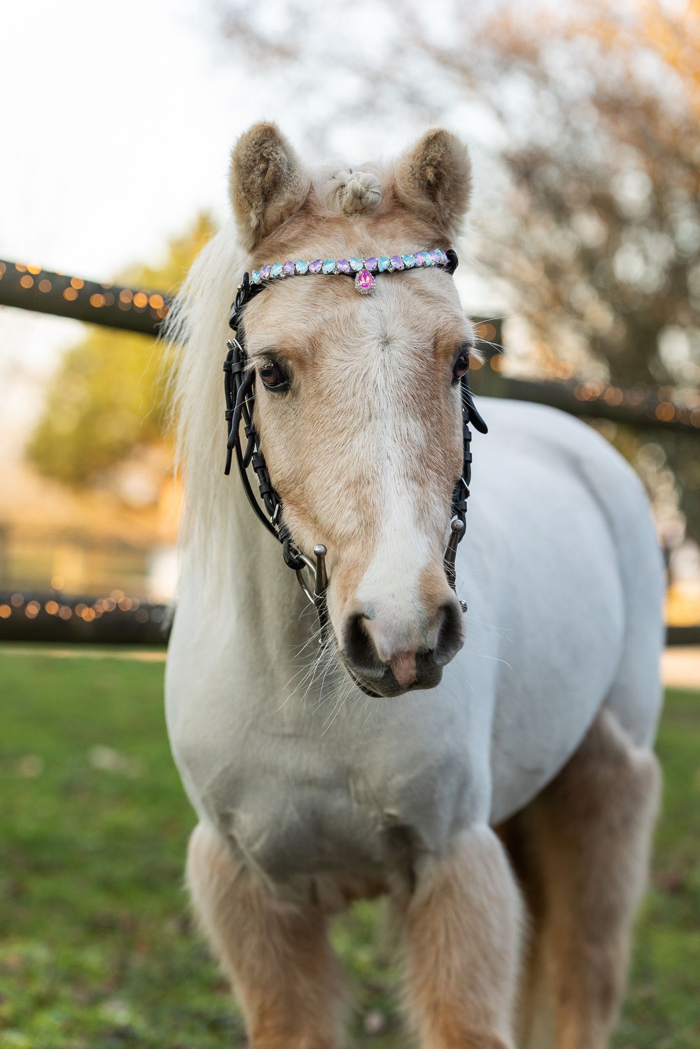 Frontal princesse - equipassion - boutique